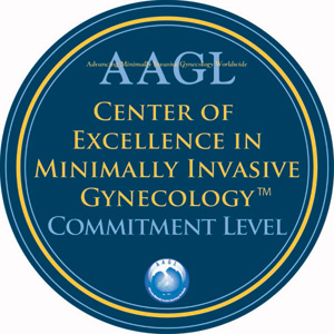 AAGL Center of Excellence in Minimally Invasive Gynecology Commitment Level